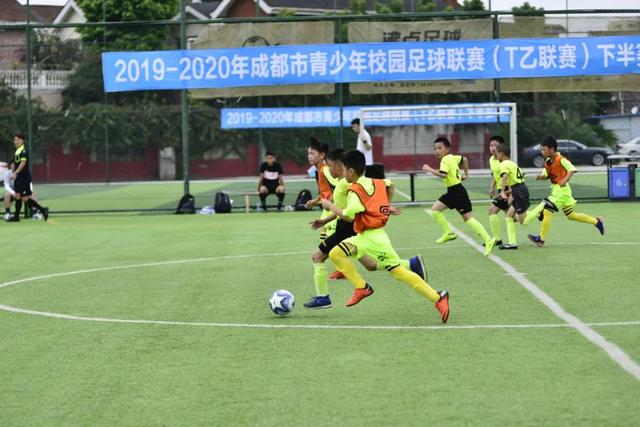 田普抵制书法家提名，忆许世友的放牛岁月